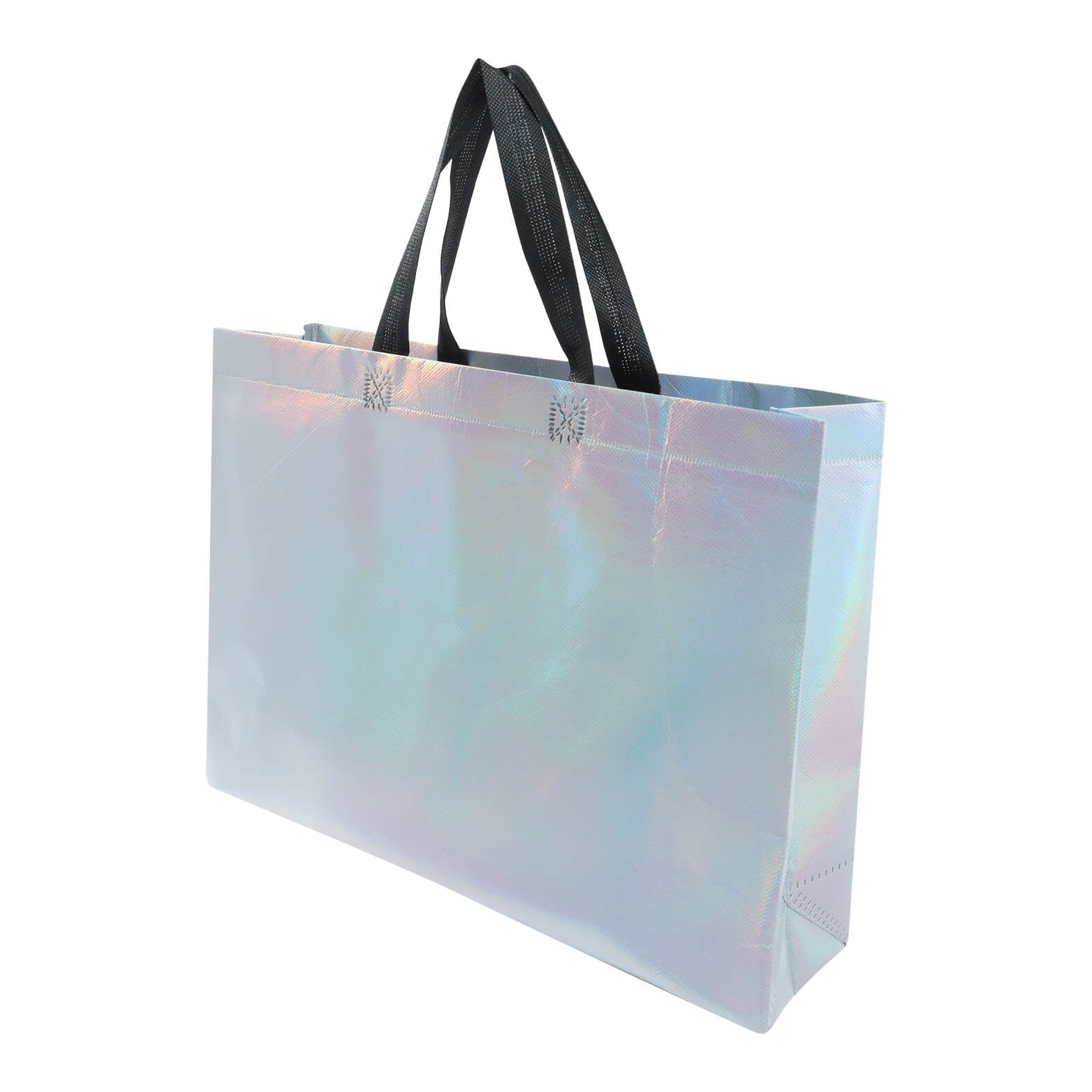 BOLSA ECOLÓGICA RAEELT