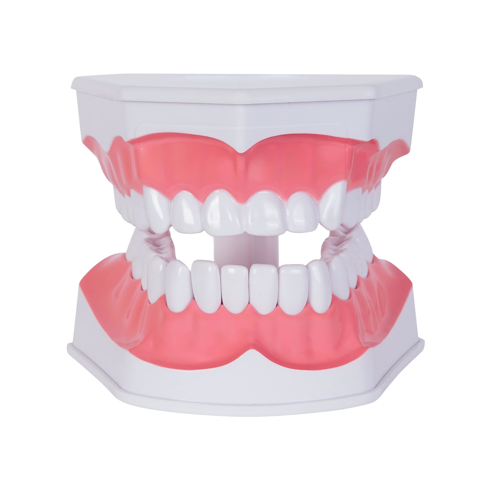 MODELO PVC SACNAVO