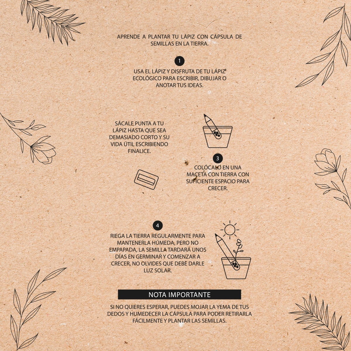 LÁPIZ PAPEL ECOLÓGICO DACSYDE