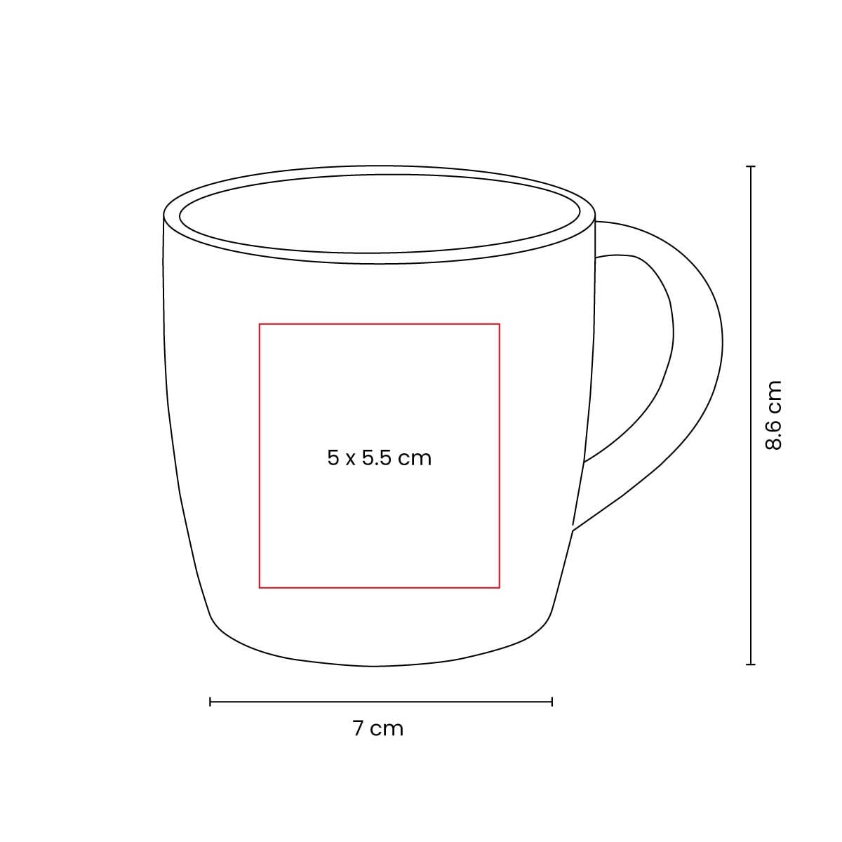 TAZA TAENIC