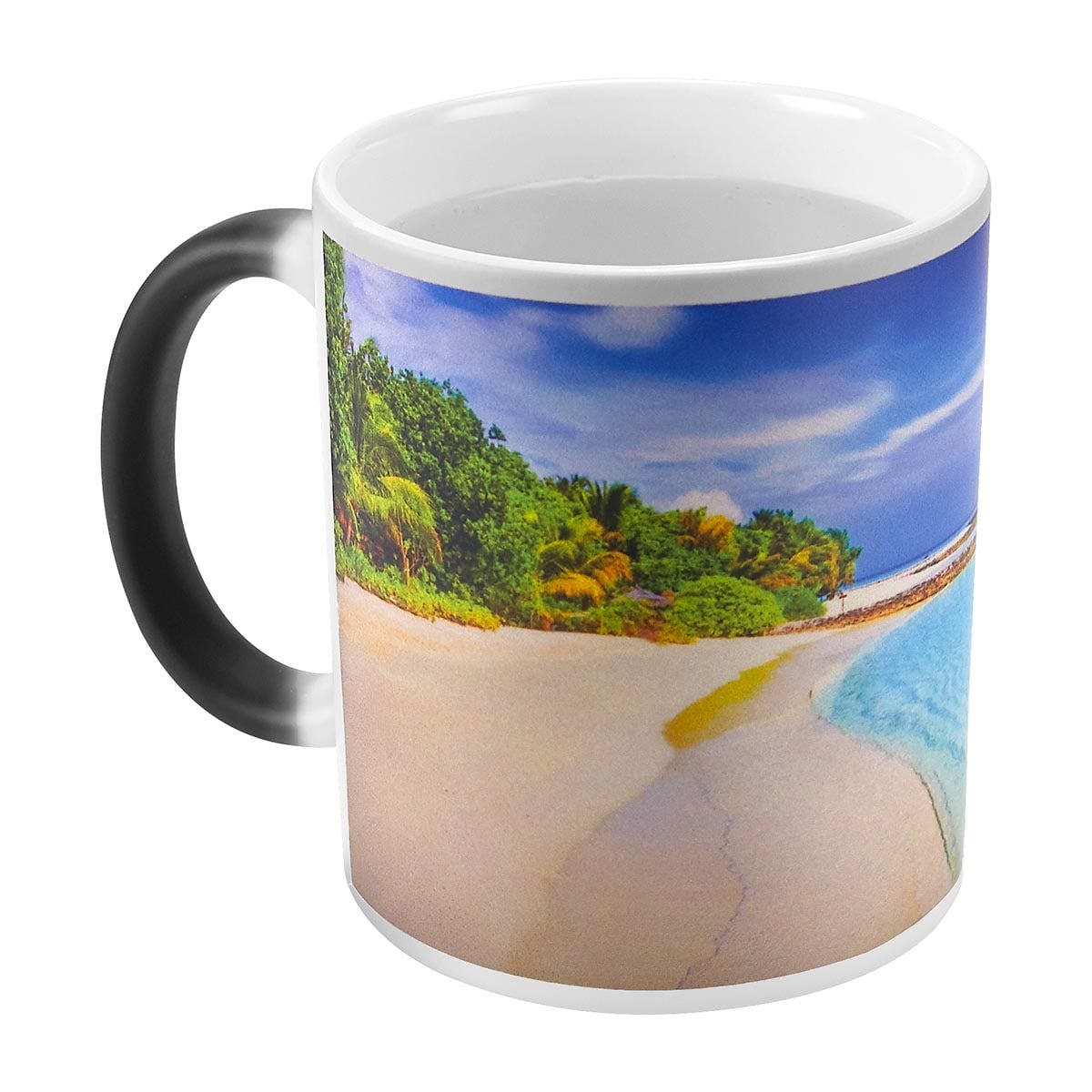 TAZA TAENIX