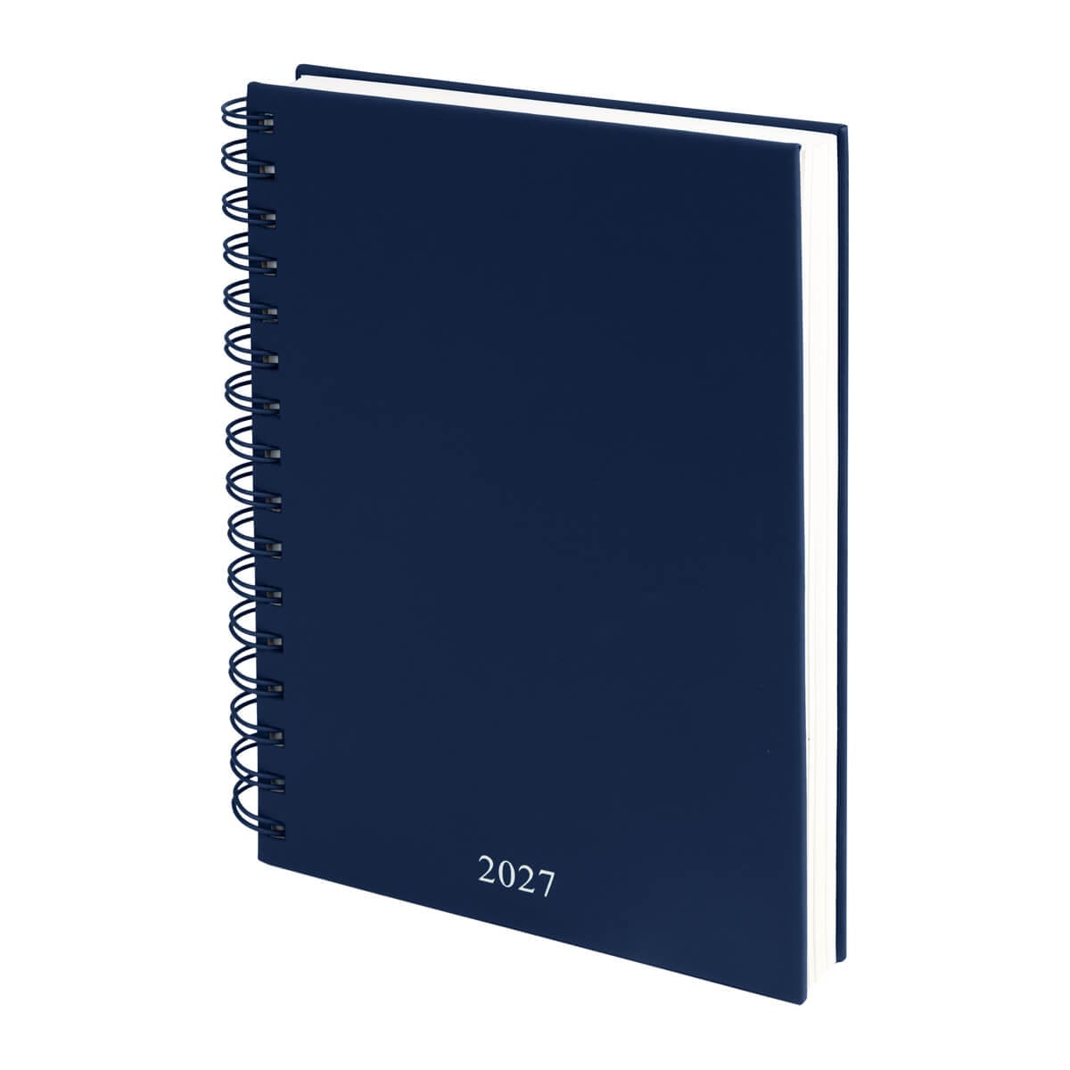 AGENDA CURPIEL BACNULP