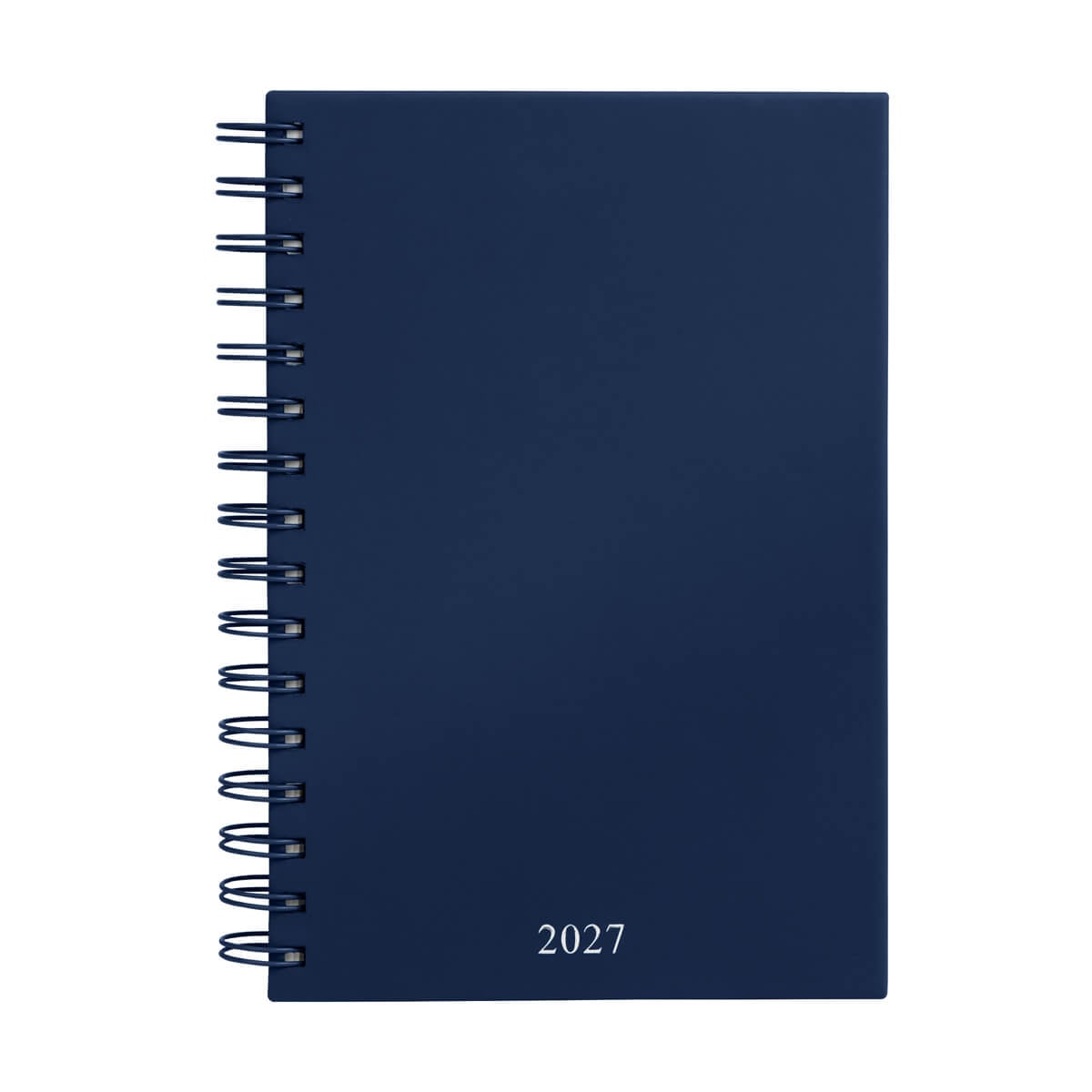 AGENDA CURPIEL BACNULP