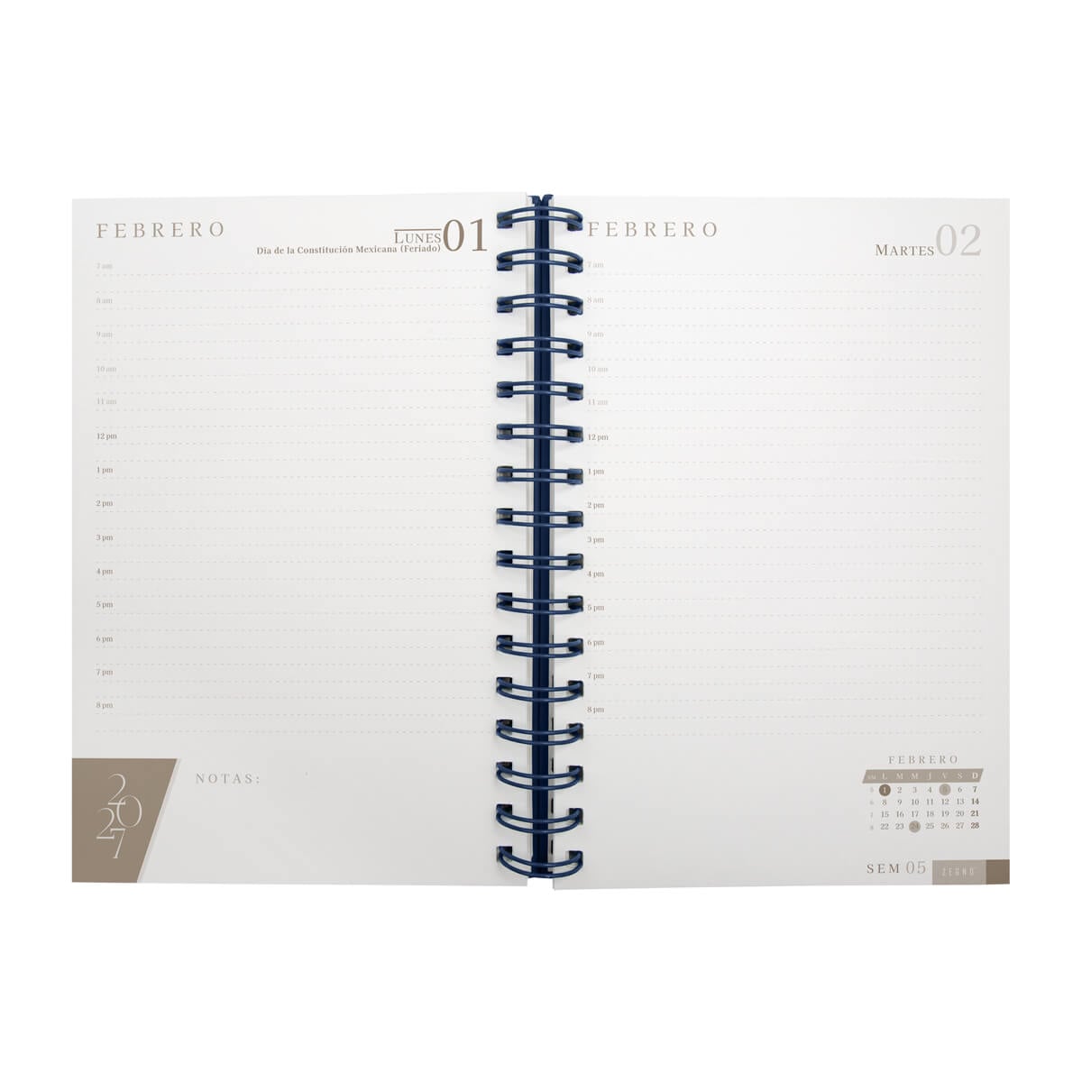 AGENDA CURPIEL BACNULP