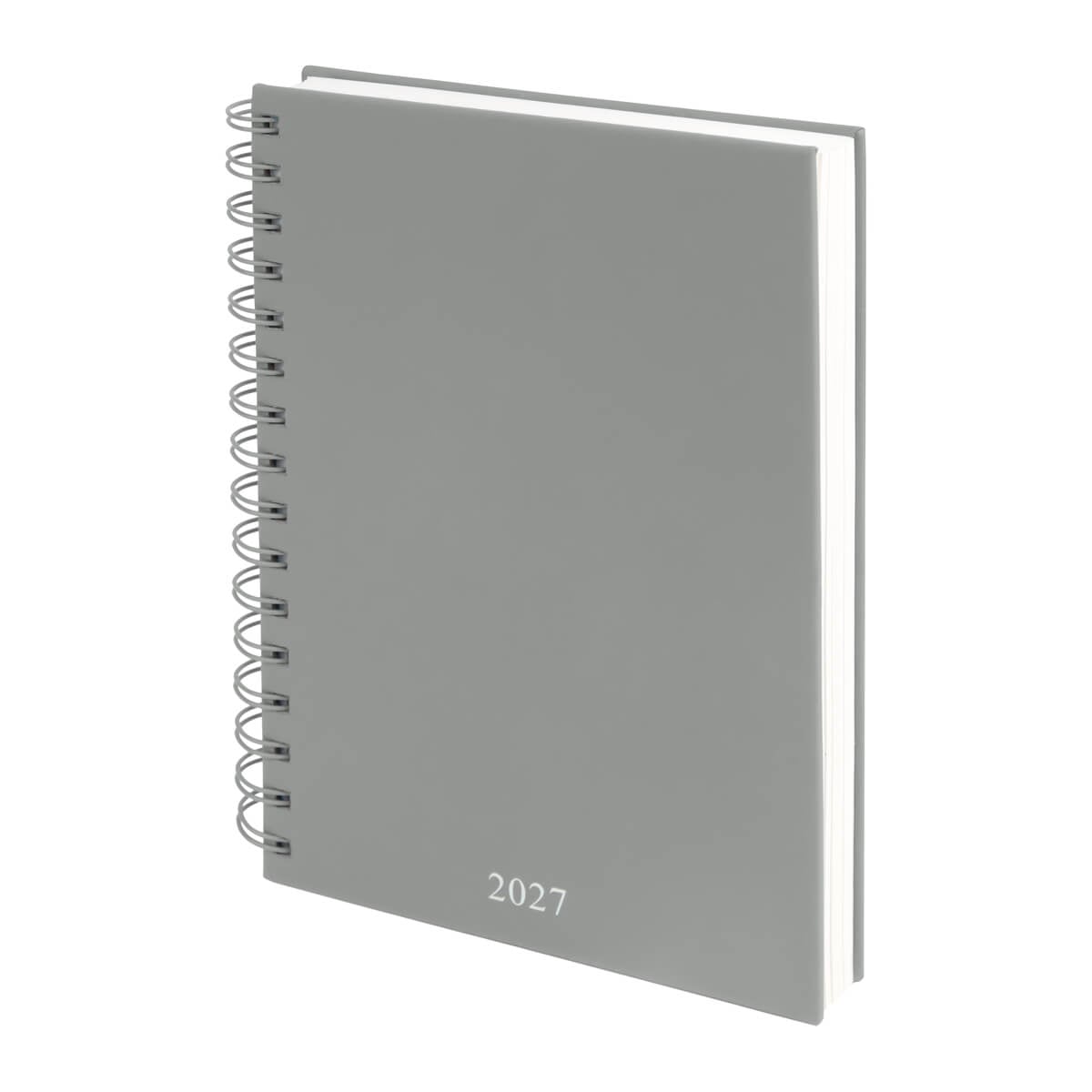 AGENDA CURPIEL BACNULP