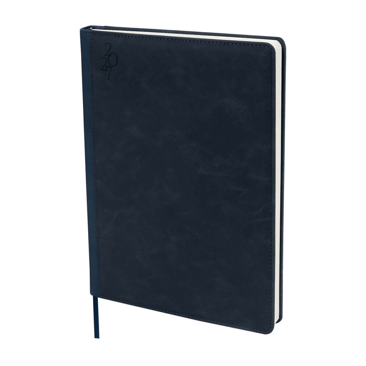 AGENDA CURPIEL BACNURN