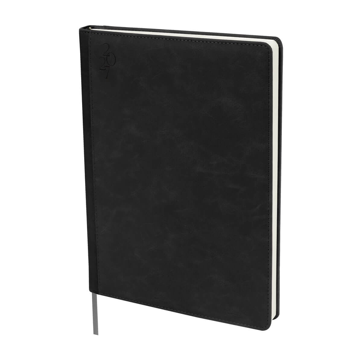 AGENDA CURPIEL BACNURN