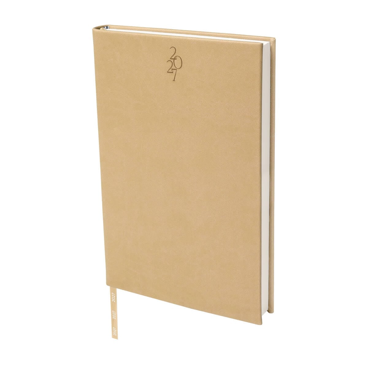 AGENDA CURPIEL BACNYNE