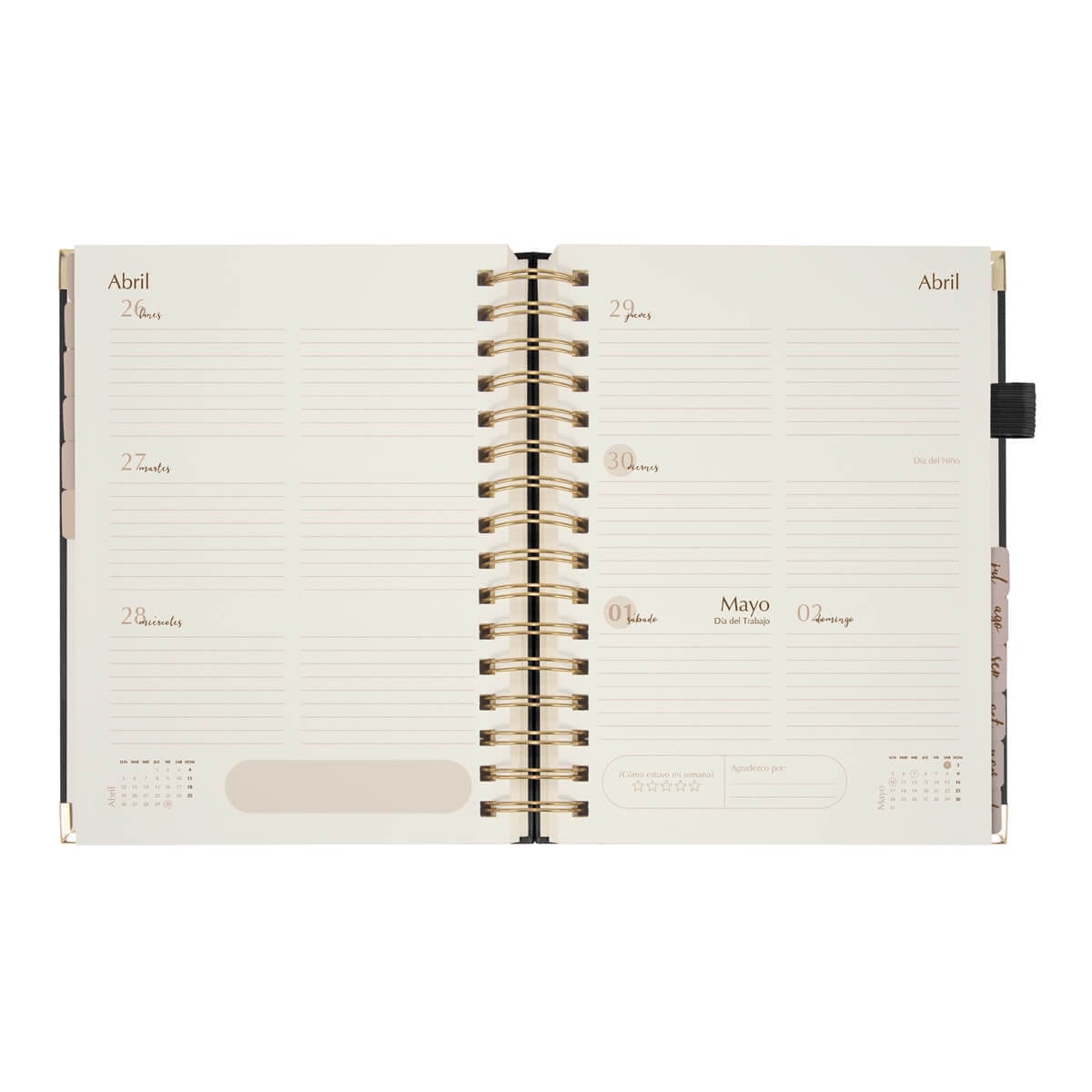 AGENDA CURPIEL BACOYLT