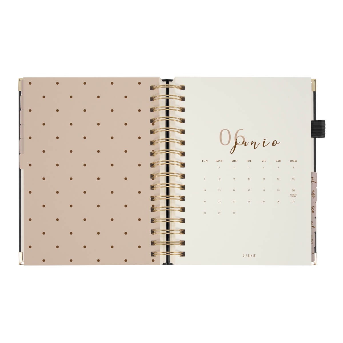 AGENDA CURPIEL BACOYLT