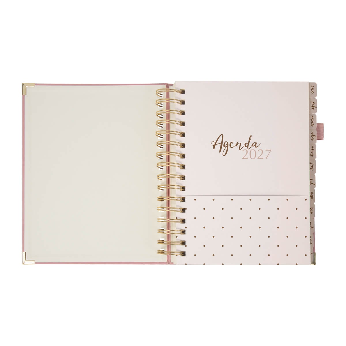 AGENDA CURPIEL BACOYLT
