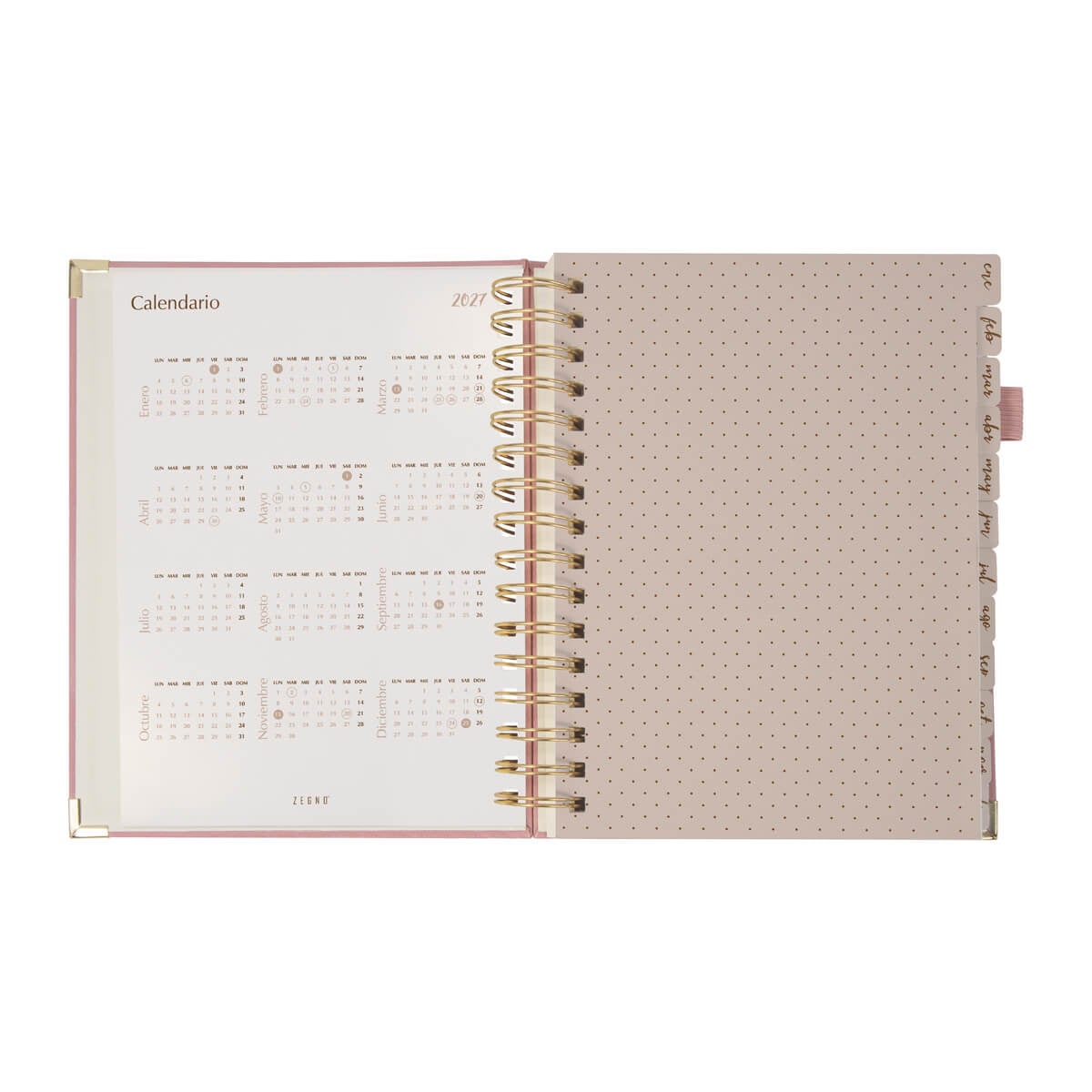 AGENDA CURPIEL BACOYLT