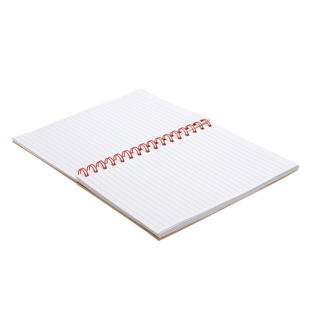 LIBRETA CARTON AACTLUX