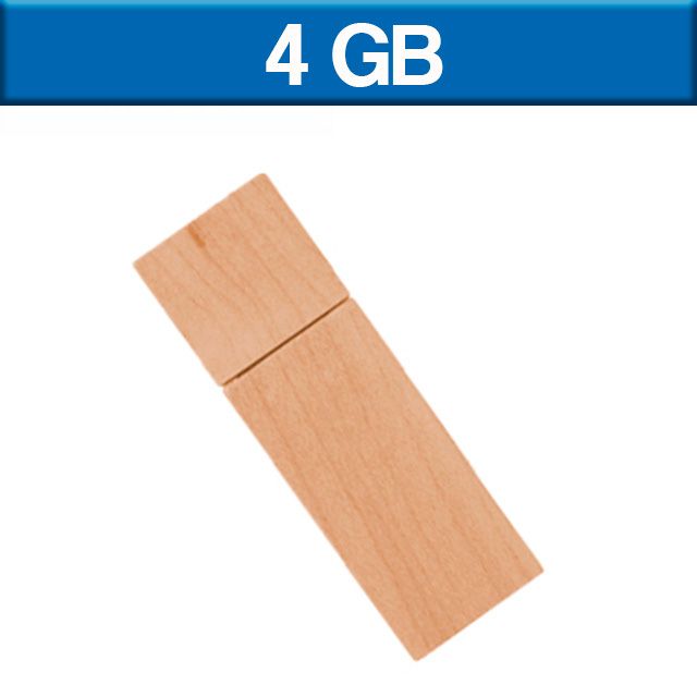 USB 4GB LADOOST