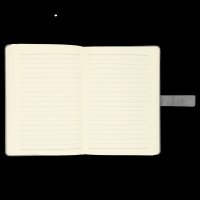 AGENDA PIEL RADREK