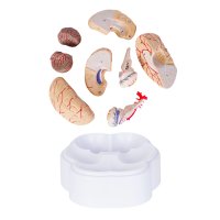 MODELO PVC SACMYDE