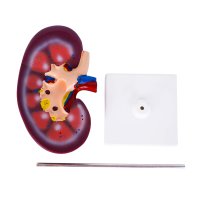 MODELO PVC SACMYVL