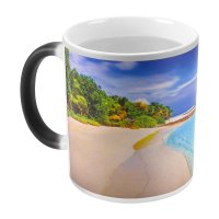 TAZA TAENIX