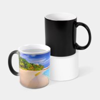 TAZA TAENIX