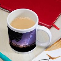 TAZA TAEOLX
