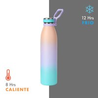 TERMO ACERO INOXIDABLE / PLASTICO / SILICN VABVAL