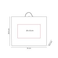 CAJA CARTN AABULP
