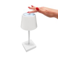 LAMPARA PLASTICO AACSANT
