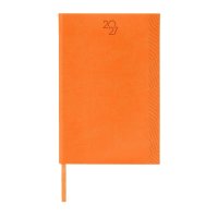 AGENDA CURPIEL BACNUELM