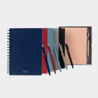 AGENDA CURPIEL BACNULP