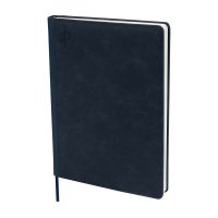 AGENDA CURPIEL BACNURN