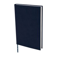 AGENDA CURPIEL BACNYNE