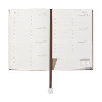 AGENDA CURPIEL BACOVRA