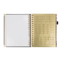 AGENDA CURPIEL BACOYLT