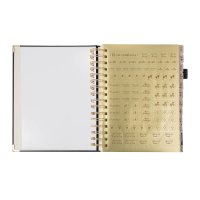 AGENDA CURPIEL BACOYLT