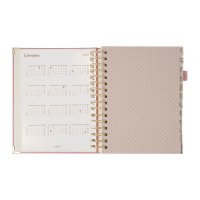 AGENDA CURPIEL BACOYLT