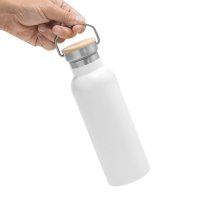 BOTELLA ACERO AACIALV