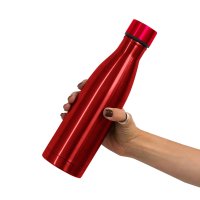 BOTELLA ACERO AACPRIX
