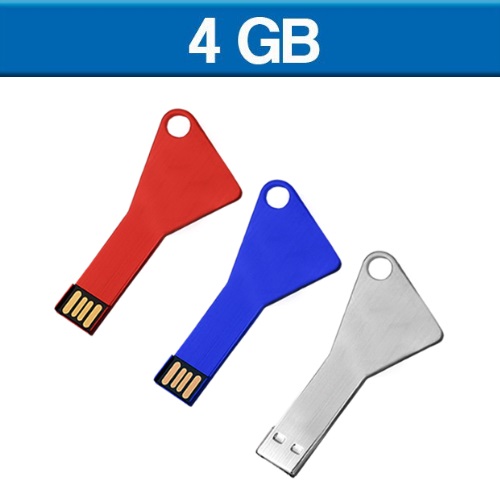 USB 4GB LACTYRE