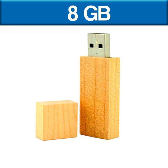 USB 8GB LAEENT