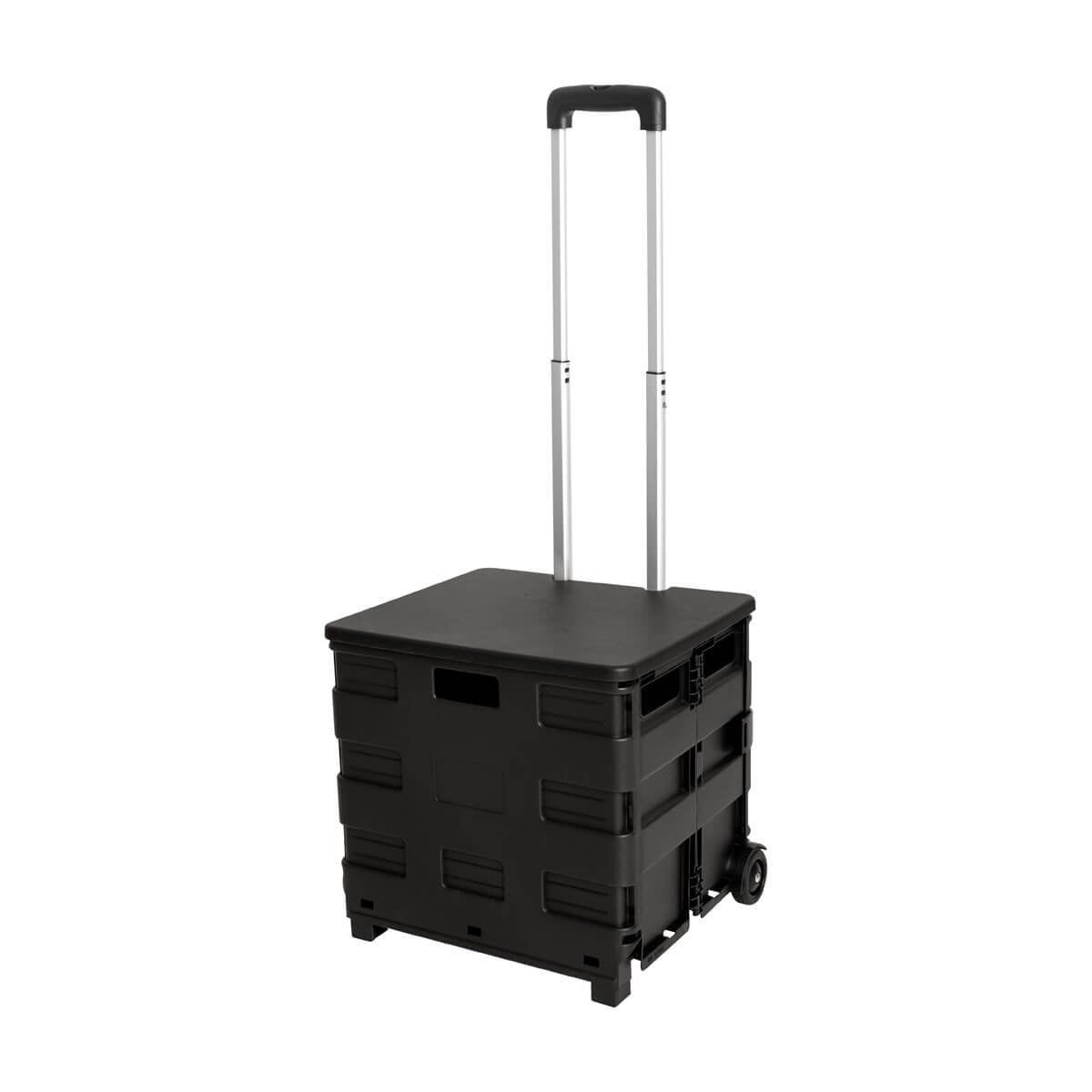 CAJA PLEGABLE GADPHE
