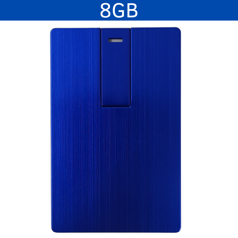 USB 8GB LADYLT