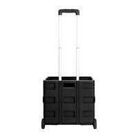 CAJA PLEGABLE GADPHE