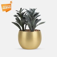 PLANTA GADREK