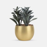 PLANTA GADREK