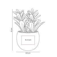 PLANTA GADREK
