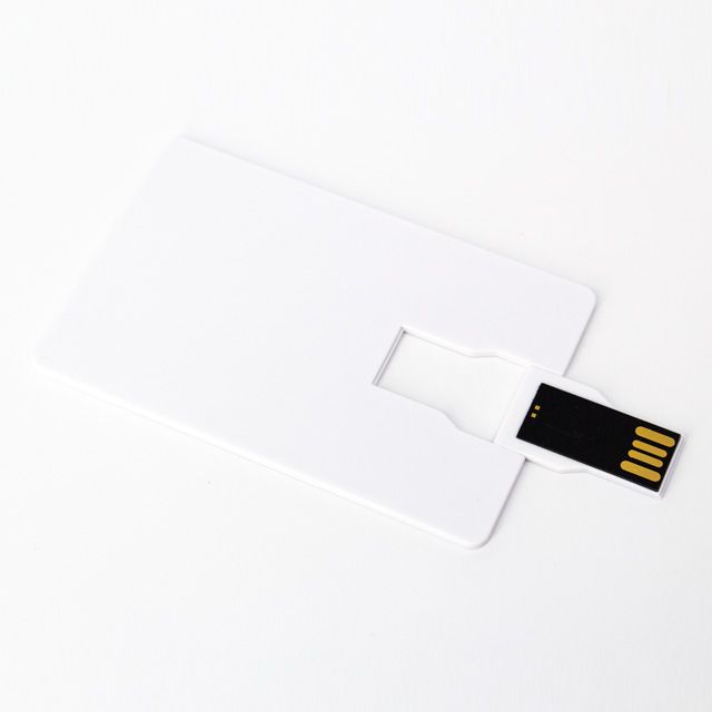 USB 8GB LADNIC