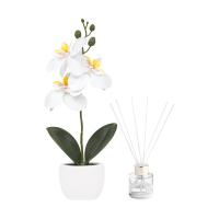 SET DECORATIVO FIORA