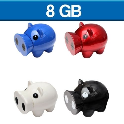 USB 8GB LACTUON