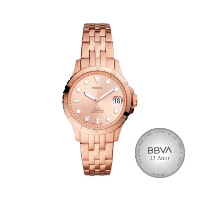 FOSSIL THE SUNSET STEEL